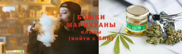 Альфа ПВП Горняк