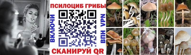 даркнет сайт  Жирновск  Псилоцибиновые грибы прущие грибы 
